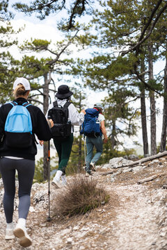 Three women hikers on a forest trail. Pine trees surround them.