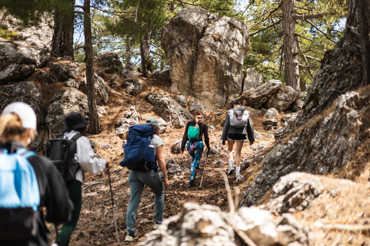 Group of diverse hikers navigating rocky trail in forest