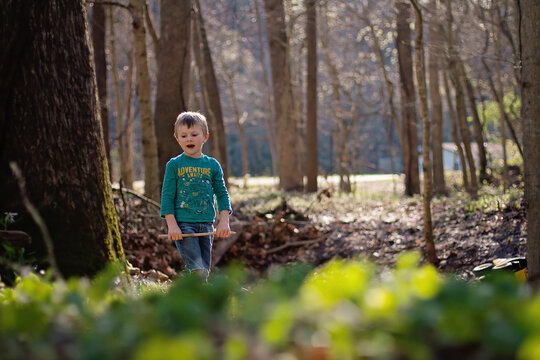 Young Boy Exploring Forest With Stick