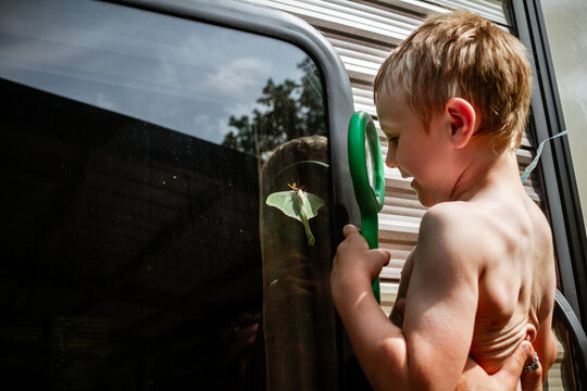 Child Examining Luna Moth With Magnifying Glass