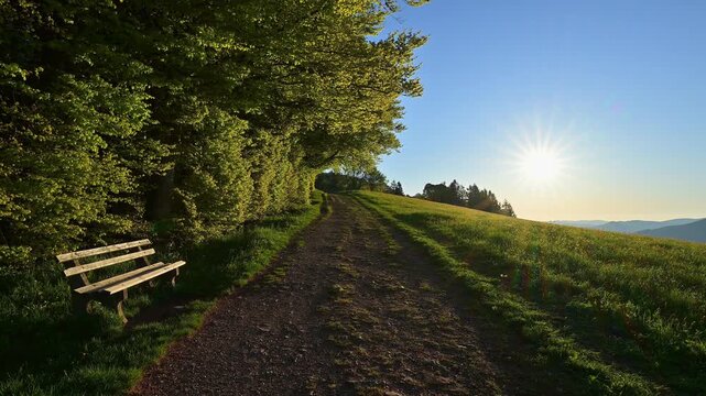 Fr&uuml;hling, Freiburg im Breisgau, Schauinsland, Schwarzwald, Baden- W&uuml;rttemberg, Deutschland