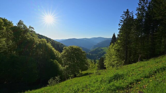 Fr&uuml;hling, Freiburg im Breisgau, Schauinsland, Schwarzwald, Baden- W&uuml;rttemberg, Deutschland