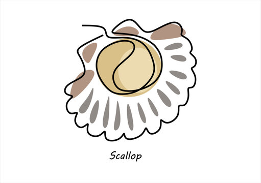 Line Art Scallop Shell Illustration. line icon-continuous line drawing. Editable stroke.	
