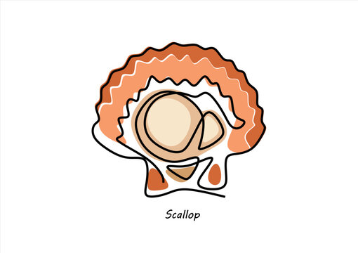 	
Line Art Scallop Shell Illustration. line icon-continuous line drawing. Editable stroke.	
