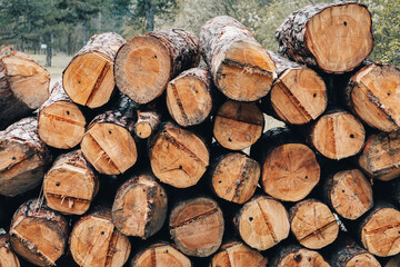 Fototapeta premium Stacked cut logs forming a woodpile, showing detailed tree rings and natural wood textures, forestry industry concept