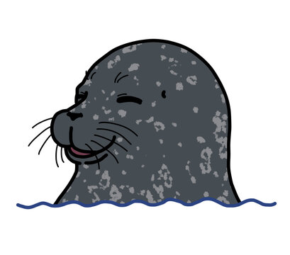 ゼニガタアザラシ　にこにこ(バストアップ)