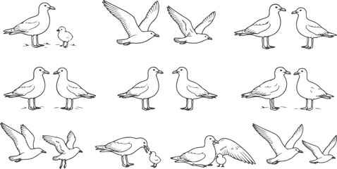 Obraz premium Collection of hand drawn seagulls in various poses and interactions on transparent background.