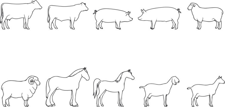 Farm animals set standing and lying down cows horses pigs sheep outline illustrations on transparent background.
