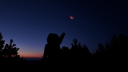 Fototapeta premium Amateur astronomer observing stars, planets, Moon and other celestial objects.