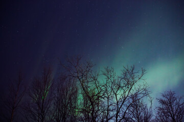 Fototapeta premium Aurora borealis, polar lights with Milky Way stars.