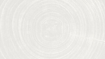 Fototapeta premium White textured background with circular patterns. The background is white with a subtle, wood-like texture, creating a calm, minimalist feel. Gray desktop wallpaper with copy space.