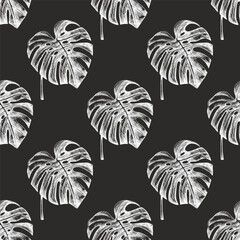 Hand drawn vintage seamless pattern of monstera leaves in chalk engraved tropical botanical sketch style on chalkboard background © Mariia Mazaeva