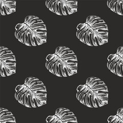 Hand drawn vintage seamless pattern of monstera leaves in chalk engraved tropical botanical sketch style on chalkboard background © Mariia Mazaeva