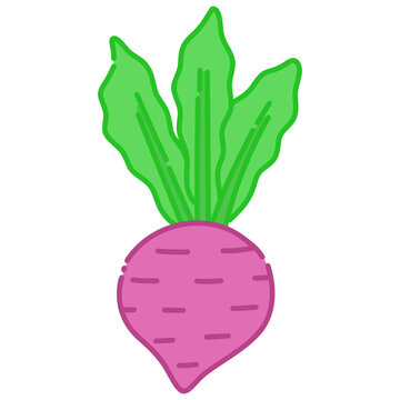Beetroot with leaves cartoon vector illustration