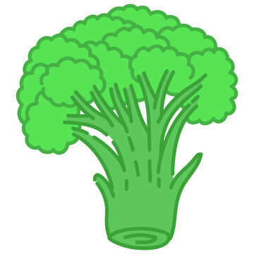 Illustration of a Broccoli Florets
