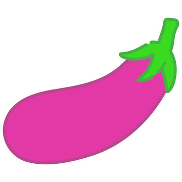 Eggplant Vector Illustration