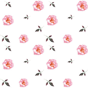 Pattern con roselline rosa e foglie, illustrazine ad acquerello isolata su sfondo bianco