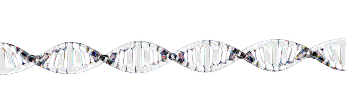 Multiple transparent glass DNA double helix strands holographic arrangement