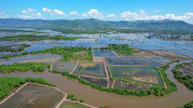 Aerial drone footage on top of a patchwork of watery salt ponds, with vegetations around and mud, in south Dompu regency area, Sumbawa island, Indonesia, with river in the middle, mountains behind