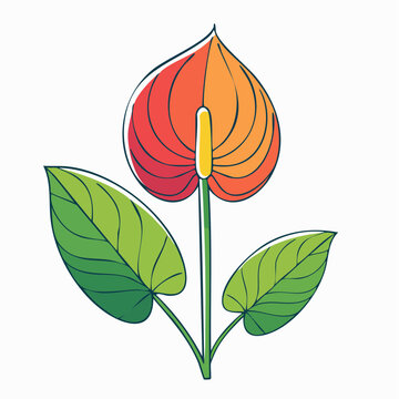 Anthurium flower illustration with gradient colors and green leaves