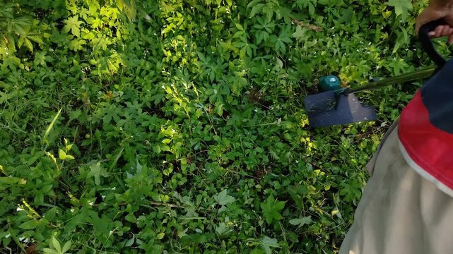 Wide shot of a person holding a string trimmer to cut thick green weeds in a garden.