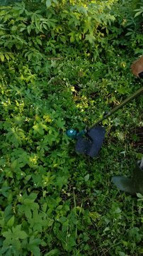 High angle shot of a person holding a string trimmer to cut thick green weeds in a garden