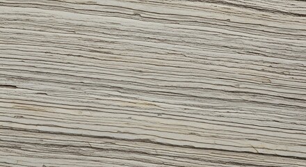 Fototapeta premium Gray Wooden Plank Texture Background.