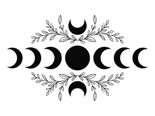 Phases of the moon with leaves and branches in a circular pattern  lunar cycle illustration © Shine
