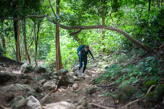 A woman is walking uphill in the forest.