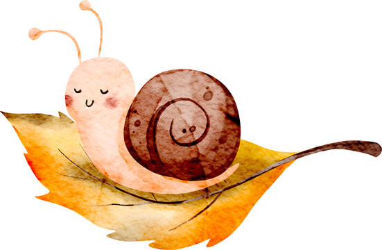Watercolor Snail on Autumn Leaf