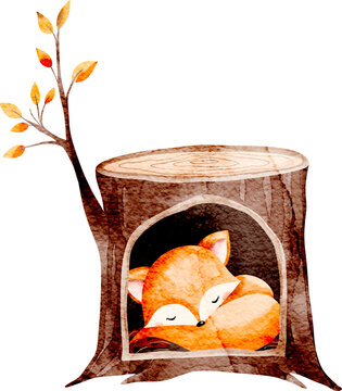 Watercolor Sleeping Fox