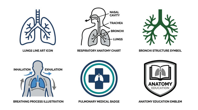 A comprehensive set of six vector icons and symbols illustrating the human respiratory system, including lungs, bronchi, and the breathing process, suitable for medical and educational purpo