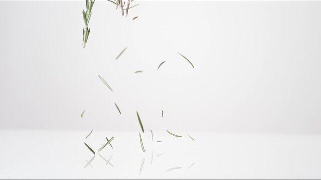 Fresh aromatic Rosemary bouncing on a white tabletop in slow motion close up macro before settling.