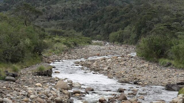 Horizontal wide shot of a river flowing through Chingaza paramo ecosystem in Colombia high altitude landscape
