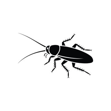 Cockroach silhouette on a white background insect vector illustration