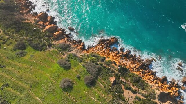 Aerial top-down view of Lush green rocky coastline with turquoise sea. Mediterranean tropical drone
