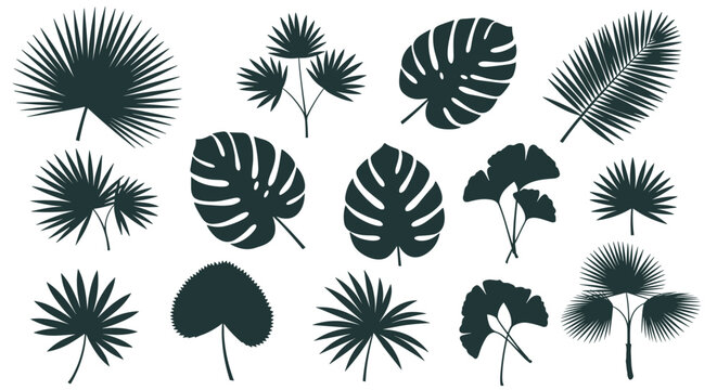 Silhouettes of various tropical leaves in dark tones arranged on a white background for botanical and jungle themed decorations.