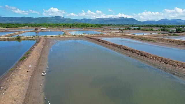 Aerial drone footage on top of deep empty salt ponds full of water, made of mud, with white egret birds passing by, in south Dompu regency area, Sumbawa island, Indonesia, on the way to Lakey beach
