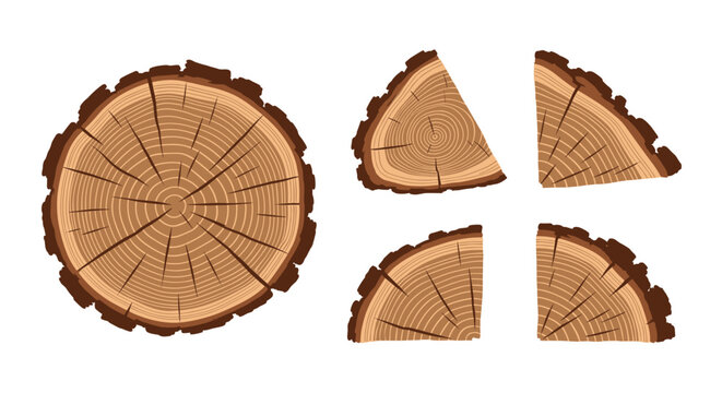 Set of wooden log cross sections showing different growth ring patterns and rough bark textures for forestry or craft design.