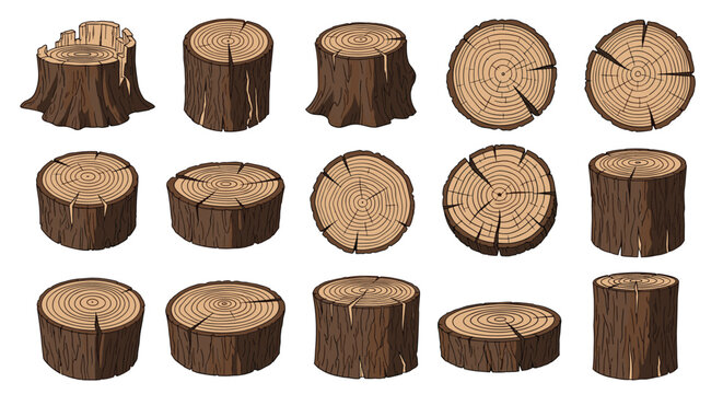 Large collection of tree stump illustrations and cross sections of wood logs showing different bark and grain patterns.
