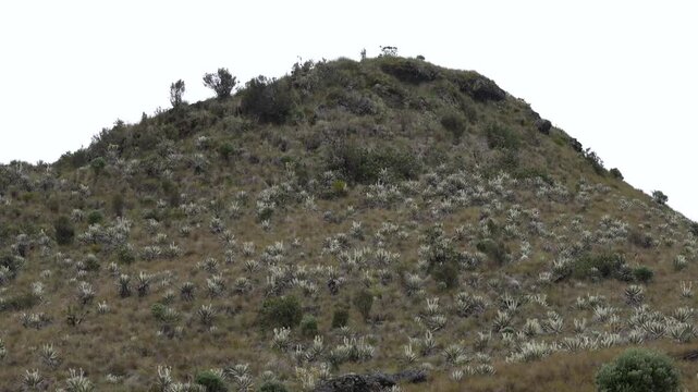 Scenic mountain peak landscape in Chingaza paramo natural park high altitude andean ecosystem in Colombia