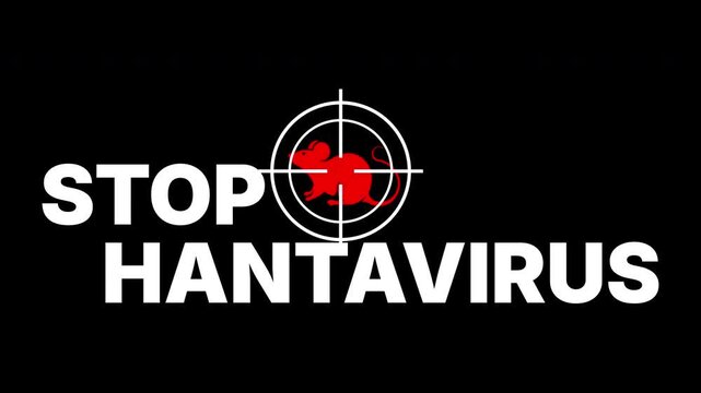 animated mouse virus target shoot crosshair with stop hantavirus text. 4K video alpha channel background 