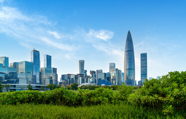 Obraz premium Skyscrapers in the city of technology, China is Shenzhen.
