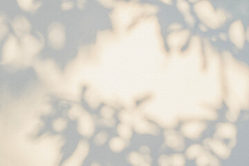 Fototapeta premium Leaf shadow and light grey background. Nature tropical leaves plant tree branch shade sunshine on wall. Sunlight on white wall texture for background wallpaper, shadows overlay effect foliage mockup