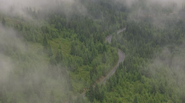 High-angle aerial view of a winding mountain road between Suceava and Harghita, Romania, passing through a dense evergreen forest partially covered in morning mist. 4k aerial view 