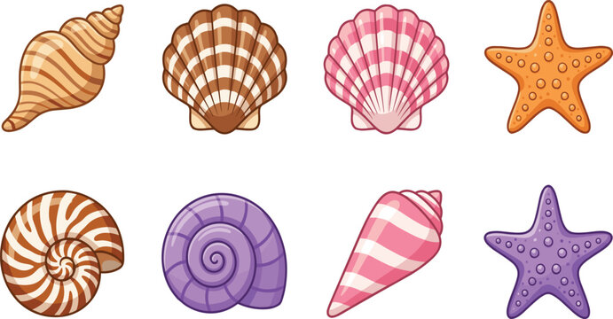 Colorful Cartoon Sea Shell and Starfish Collection Featuring Spiral Nautilus Conch and Scallop Marine Ocean Vector Illustration Design Set