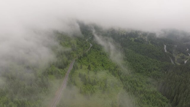 High-angle aerial view of a winding mountain road between Suceava and Harghita, Romania, passing through a dense evergreen forest partially covered in morning mist. 4k aerial view 