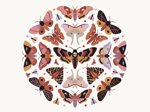 Aesthetic Moth and Butterfly Mandala Illustration Featuring Death's Head Hawkmoth, Mystical Nature Circle Art in Muted Earthy Tones