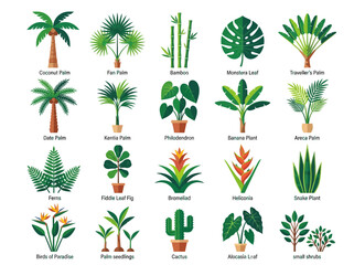 Collection of 20 Tropical Plants and Exotic Trees Vector Icons. Flat Botanical Illustration featuring Monstera, Palm, Bamboo, Cactus, and Indoor Houseplants on White Background. © Salsa