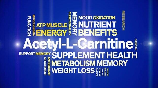 pro supps l-carnitine 1500 berry 16 fl.oz Prosupps L Carnitine 1500 Berry 16 Fl Oz 473 Ml